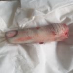 IMG-20190926-WA0001